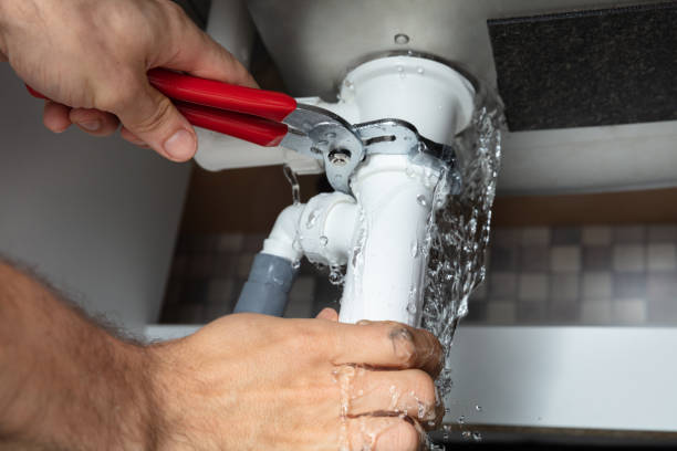 Best Water damage restoration mold remediation  in Mont Alto, PA