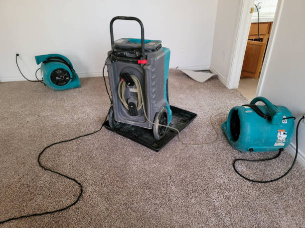 Best 24-hour water damage restoration  in Mont Alto, PA