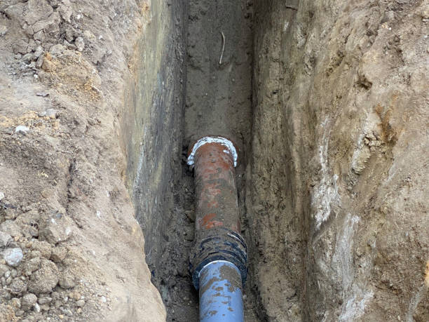 Best Flood restoration services  in Mont Alto, PA