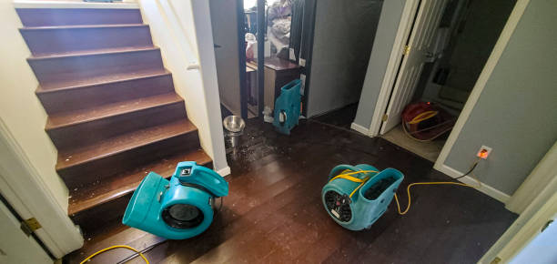 Best Sewage cleanup and water damage restoration  in Mont Alto, PA