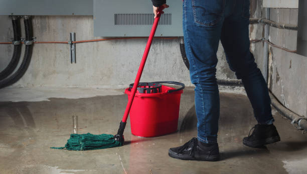 Best Water damage cleanup near me  in Mont Alto, PA