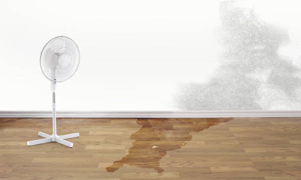 Best Ceiling water damage repair  in Mont Alto, PA