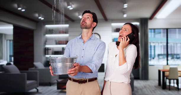 Best Professional water damage repair  in Mont Alto, PA